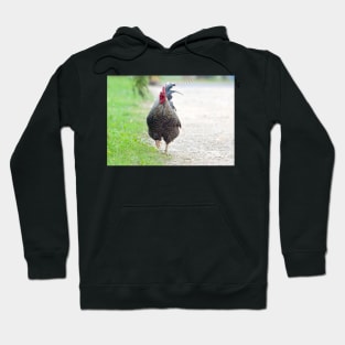 Plymouth rock rooster Hoodie